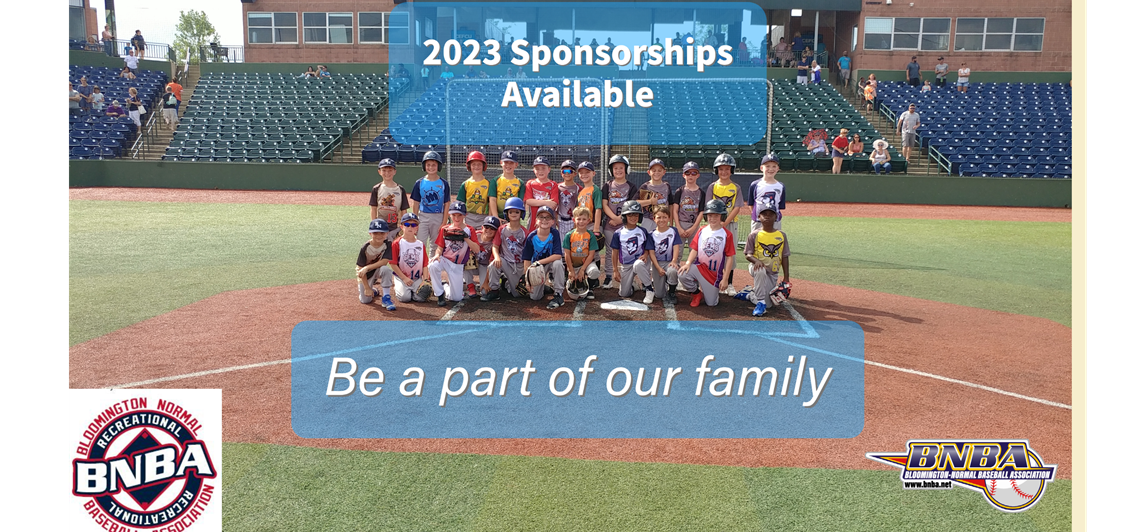 Consider Sponsoring Local Youth Baseball!