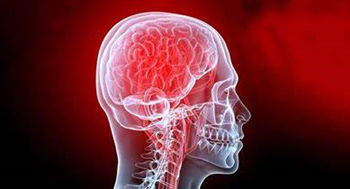 Concussion Safety